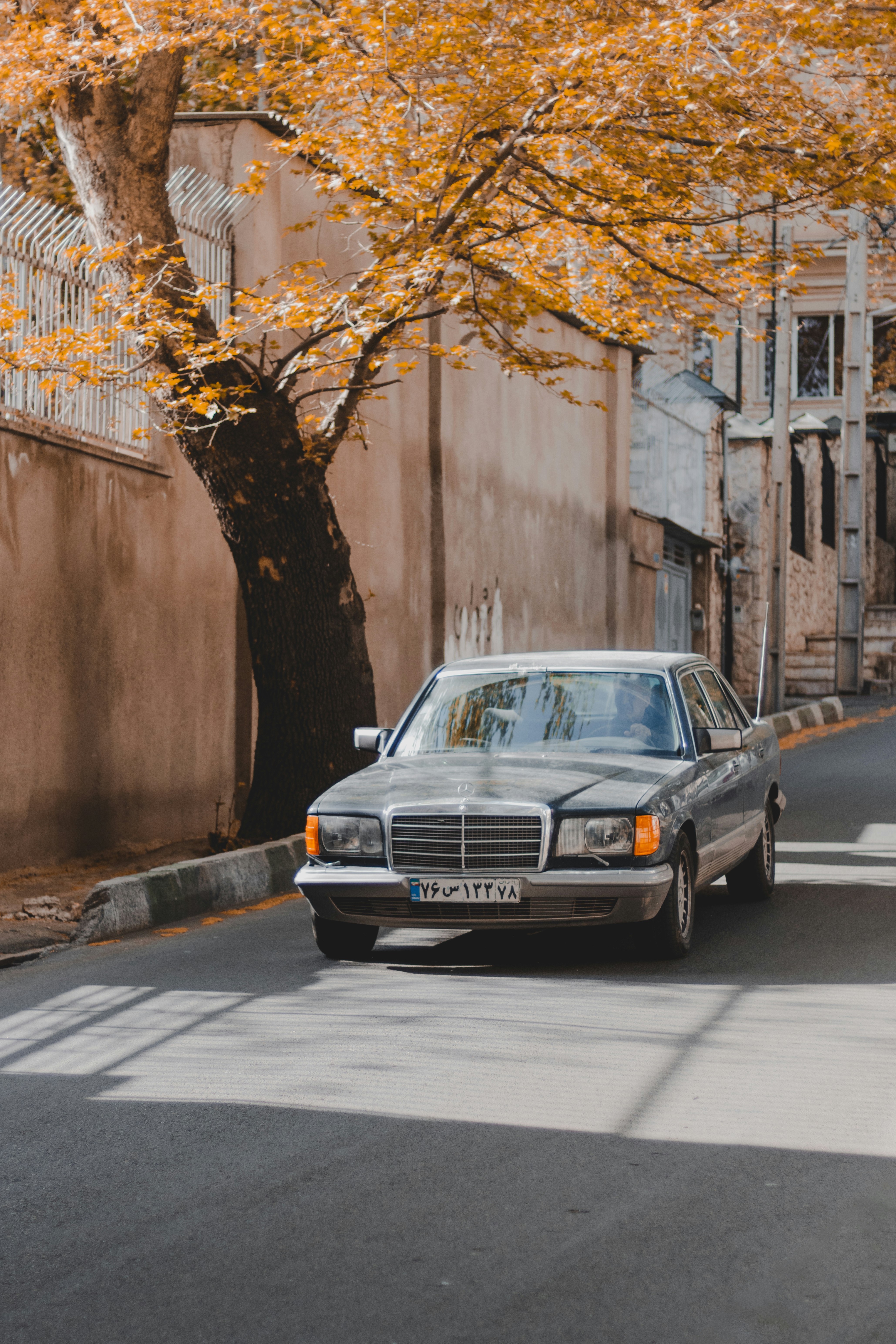 black sedan parked beside brown tree during daytime